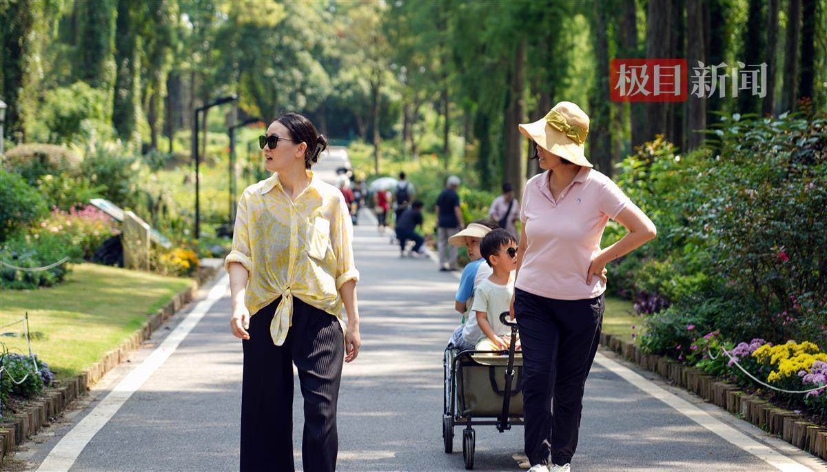 永利注册网址